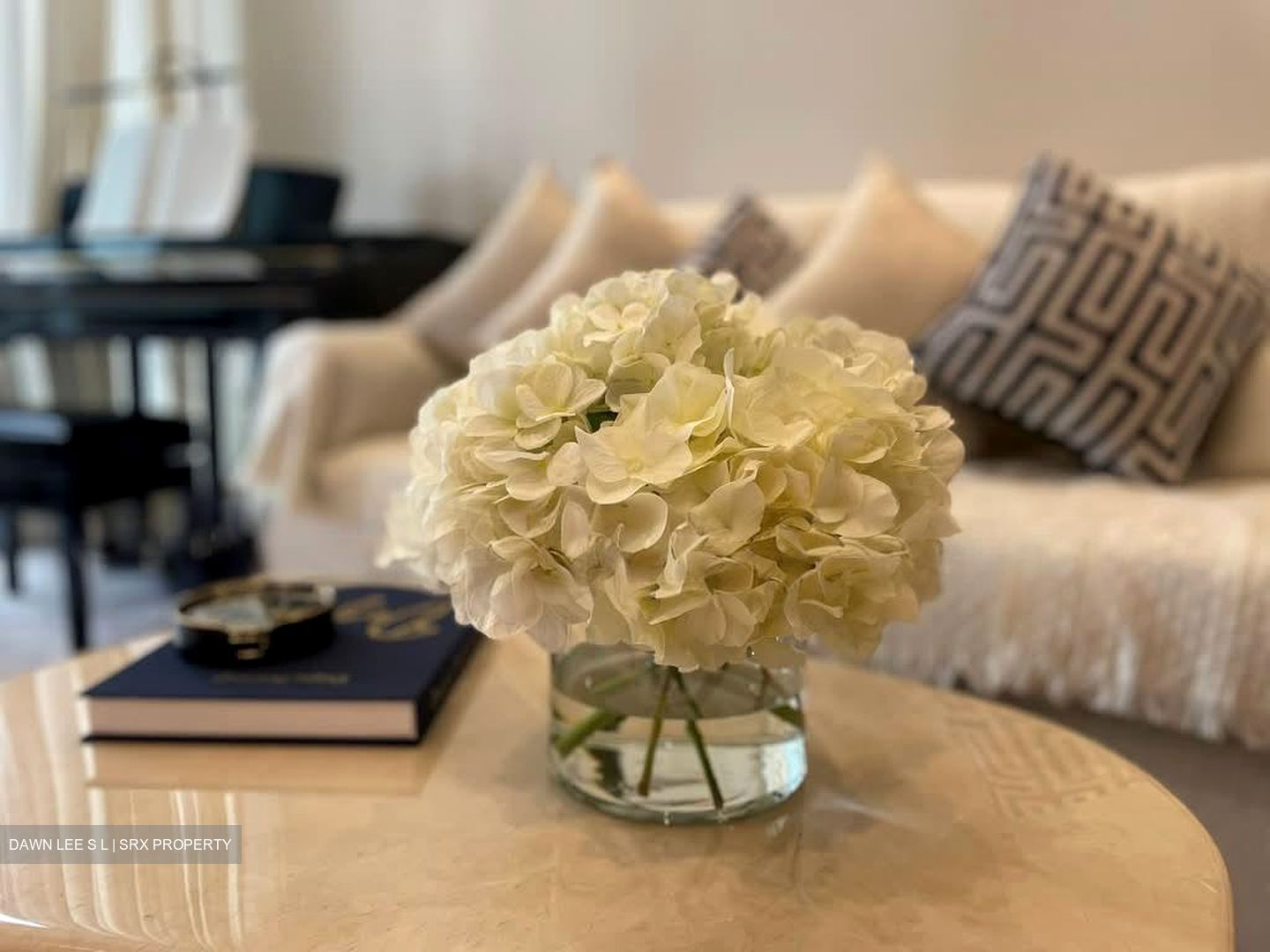 Boulevard 88 (D10), Apartment #580694141
